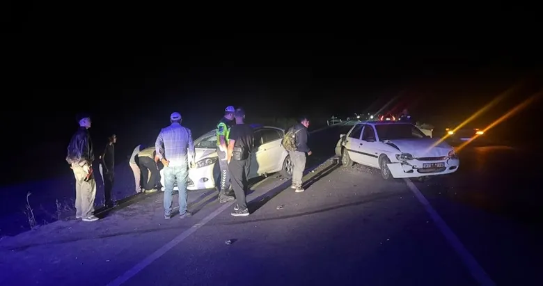 Kütahya’da koyun sürüsüne 3 araç çarptı: 3 yaralı, 6 koyun öldü