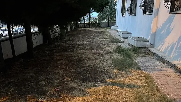1791001236644.png