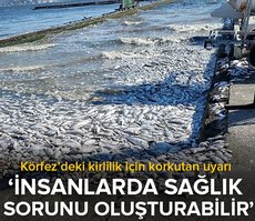 Körfez’deki kirlilik için korkutan uyarı: Koku devam ederse insanlarda sağlık sorunu oluşturabilir