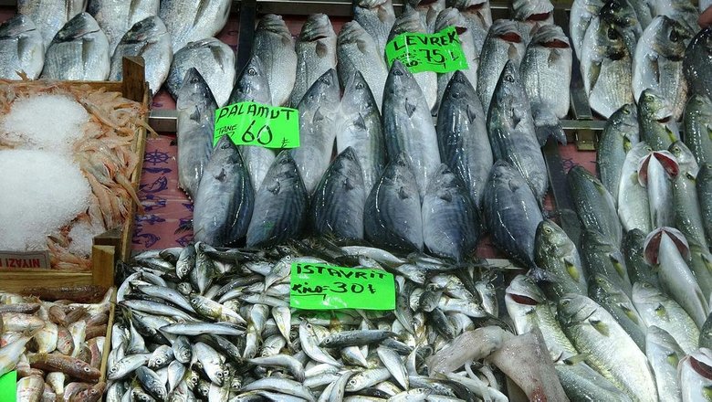 Denizlerin prensi lüfer, Çanakkale’de 80 liradan 120 liraya çıktı