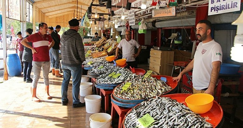 Bandırmalı balıkçıların yüzünü hamsi güldürdü
