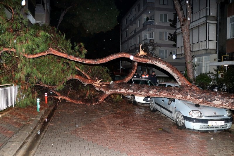 İzmir’de çam ağacı otomobilin üzerine devrildi