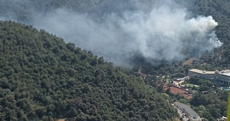 İzmir’de çifte orman yangını! Havadan karadan müdahale sürüyor