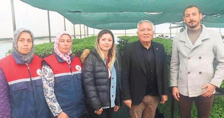 Ata mirası tohumlar milyonlarca fideye dönüştü