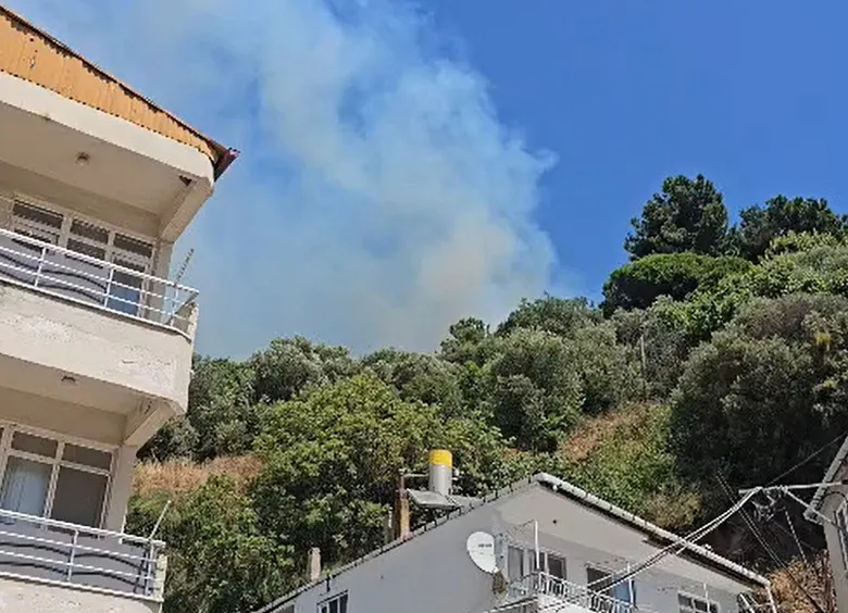 Balıkesir Marmara Adası’nda orman yangını