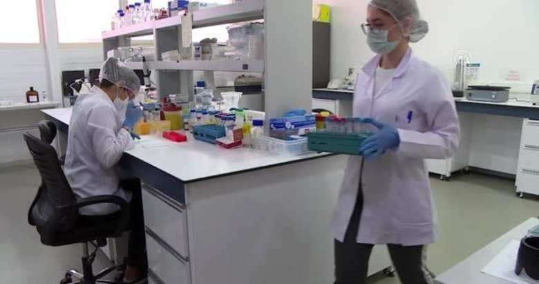 İzmir’de geliştirilen yerli antikor testi yaklaşık 50 ülkeye ihraç edildi