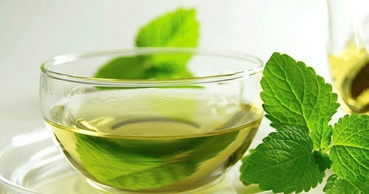 Isırgan otu çayı faydaları nelerdir, neye iyi gelir?