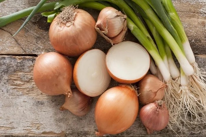 Sakın bunları kesip buzdolabına koymayın! Zehirden de ölümcül