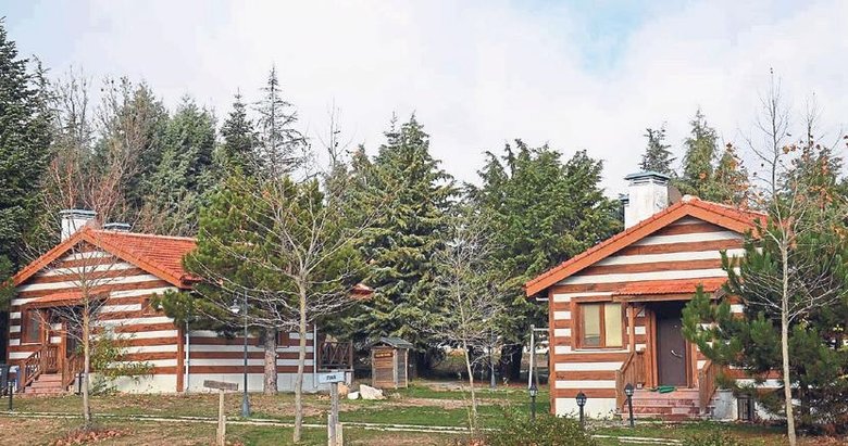 Spil De Yilbasi Yogunlugu Manisa Haberleri