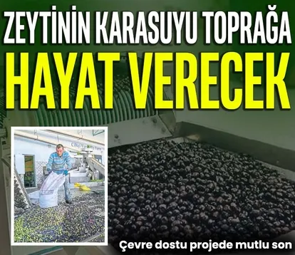 Zeytinin karasuyu toprağa hayat verecek