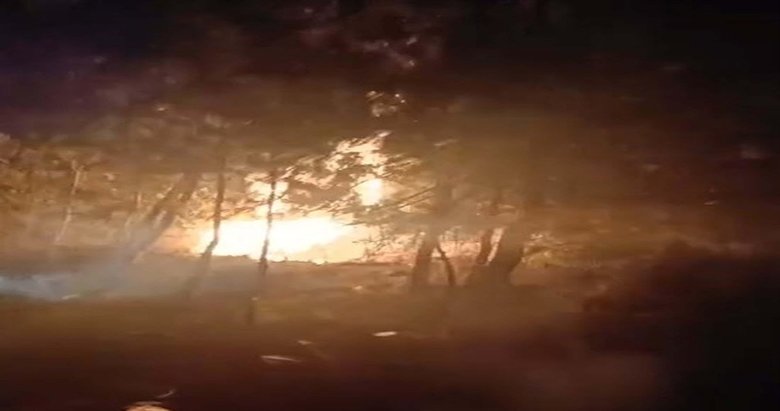 Bornova’da define ararken ormanı yakmışlardı! Sanıklar için 18’er yıl hapis istemi