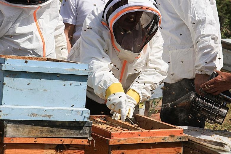 Bankada yöneticiydi! Bu iş için istifa etti: Artık daha fazla kazanıyorum