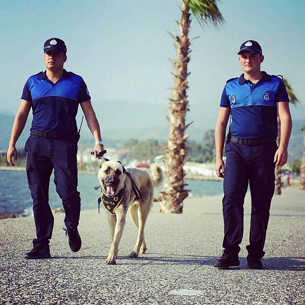 En düşük memur maaşı ne kadar olacak? Memurların 2019 Ocak zammı belli oldu mu? Memur 2019 Ocak zammı oranı ne kadar?