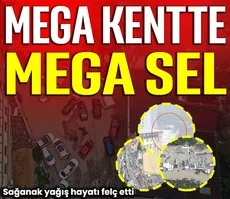 Mega kentte mega sel