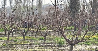 Lapseki’de aranan şahsın cesedi bulundu