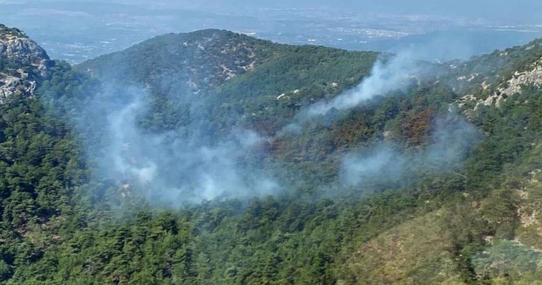 İzmir’deki orman yangını kısmen kontrol altında