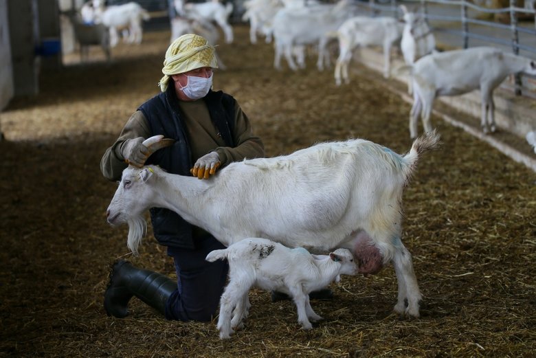 Çocukluk hayalinin peşinden gidip tek başına çiftlik kurdu