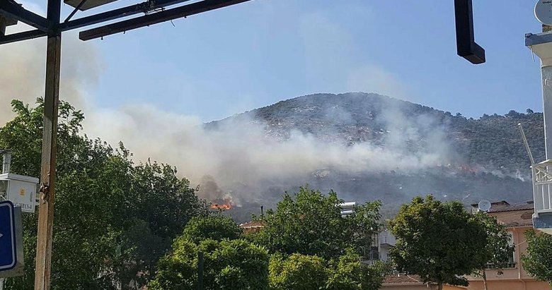 İzmir’de evdeki yangın, zeytinliğe sıçradı