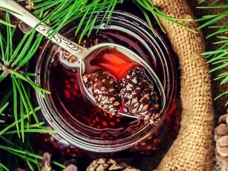 Doğal şifa kaynağı kozalak pekmezinin faydaları saymakla bitmiyor