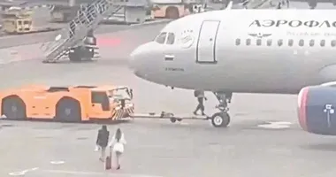 Çılgın Türkler!