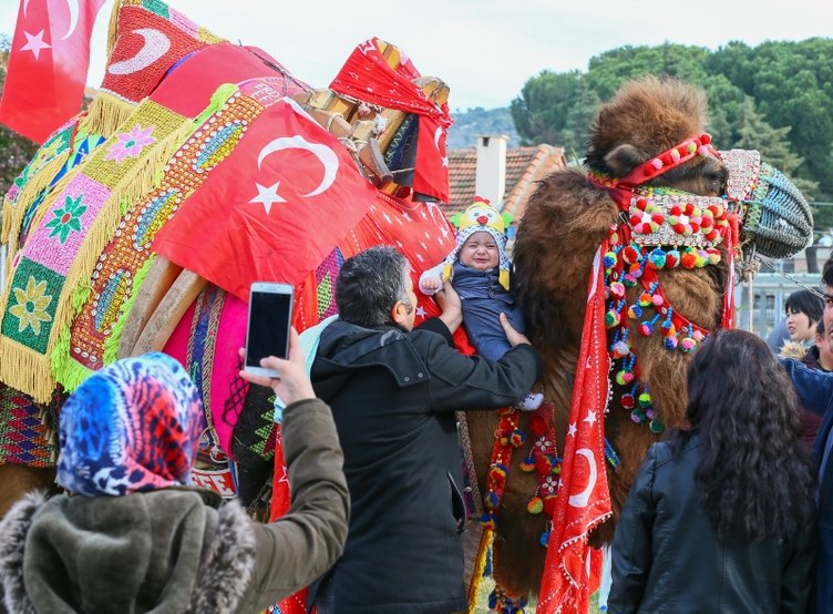 İzmir’de en güzel deve seçildi