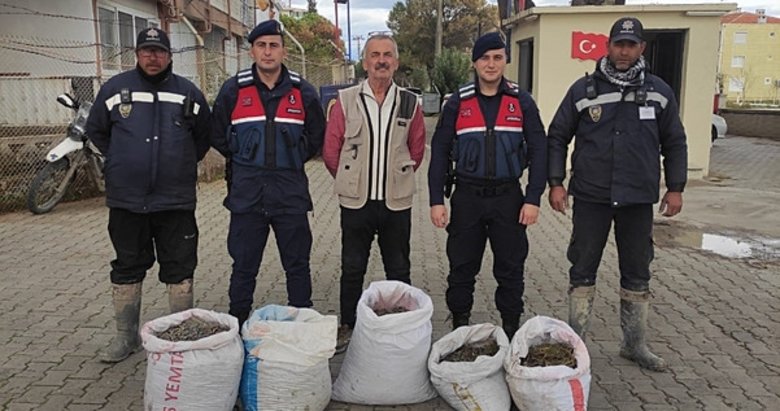 Yeşil altın bekçileri hırsızlara geçit vermiyor