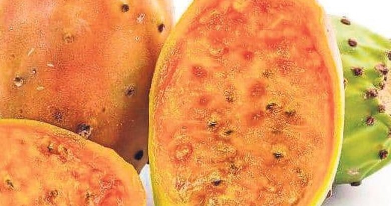 Yenilebilir kaktüs: Dikenli armut