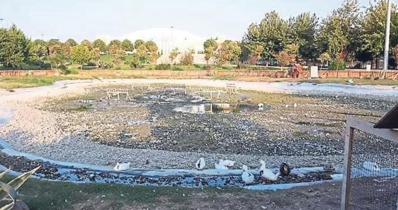 Rekreasyon alanı terk edildi