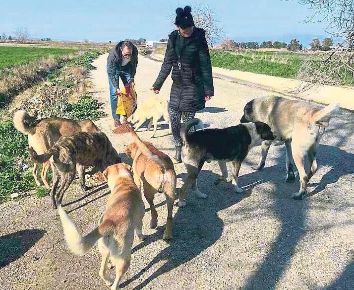 Terk edilmişlerin koruyucu melekleri