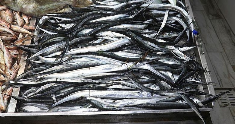 Zargana mevsimi başladı, balıkçılardan buğulama tavsiyesi geldi