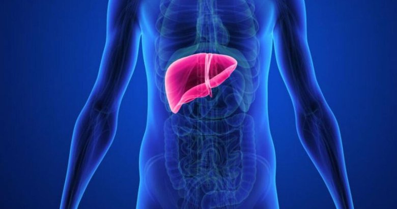 Karaciğer dostu gıdalar