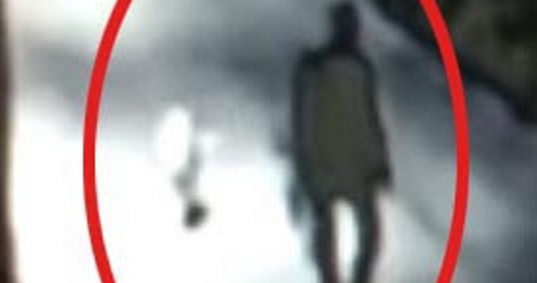 Uşak’ta korkunç olay! Sokak köpeğini öldüren kişi doktor çıktı