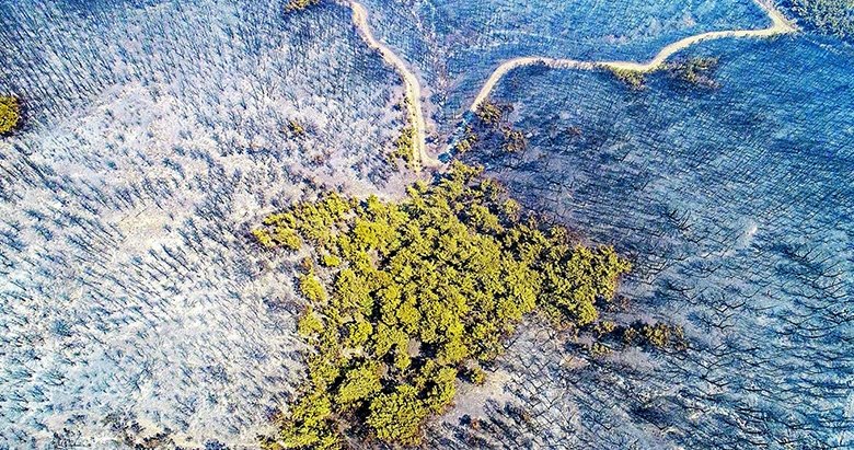yeni asir