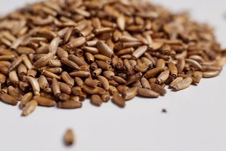 Deve dikeni çayının faydaları nelerdir?