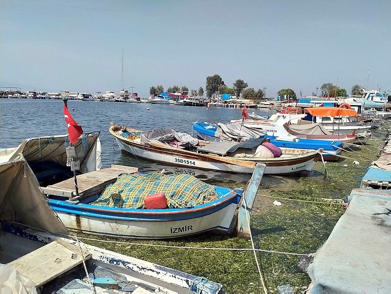 Büyük tehlike İzmir Körfezi’ni de sarmaya başladı