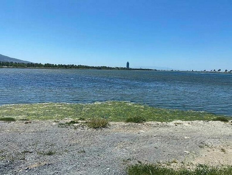 Prof. Dr. Yaşar’dan müsilaj ve deniz maruluna karşı öneriler