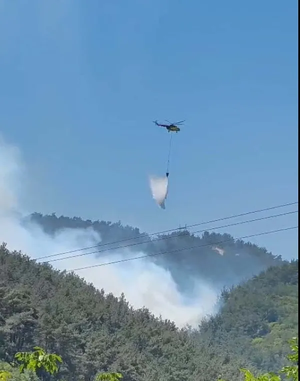 Son dakika: Manisa’daki orman yangını kontrol altında