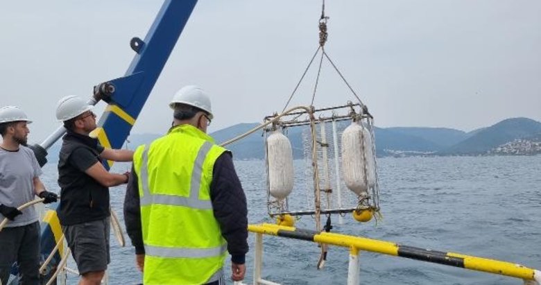 Kuşadası Körfezi’nde yıkıcı fay hattı var mı? Araştırmalar tamamlandı