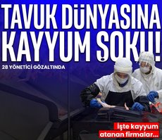 Tavuk devlerine fahiş fiyat operasyonu! İşte kayyum atanan firmalar...