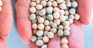 Kuru gıdada fiyatlar sabitlenecek