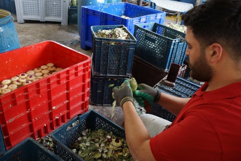 Asgari ücretin 4 katını kazanıyorlar! Yeşil altın geçim kapısı oldu