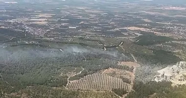 Manisa’da orman yangını!