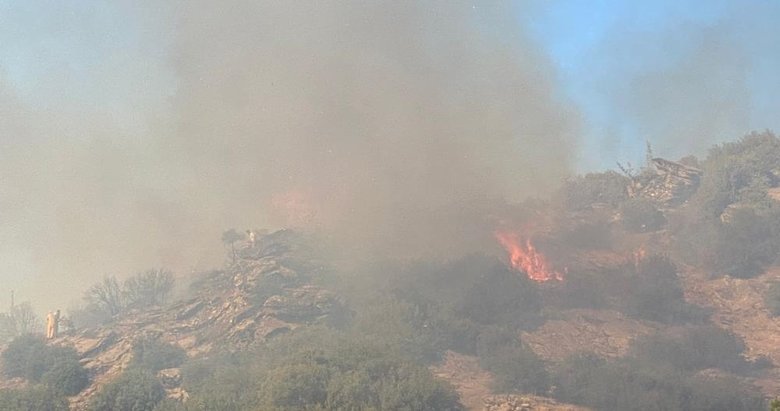 Uşak’ta orman yangını! 5,5 hektar alan kül oldu