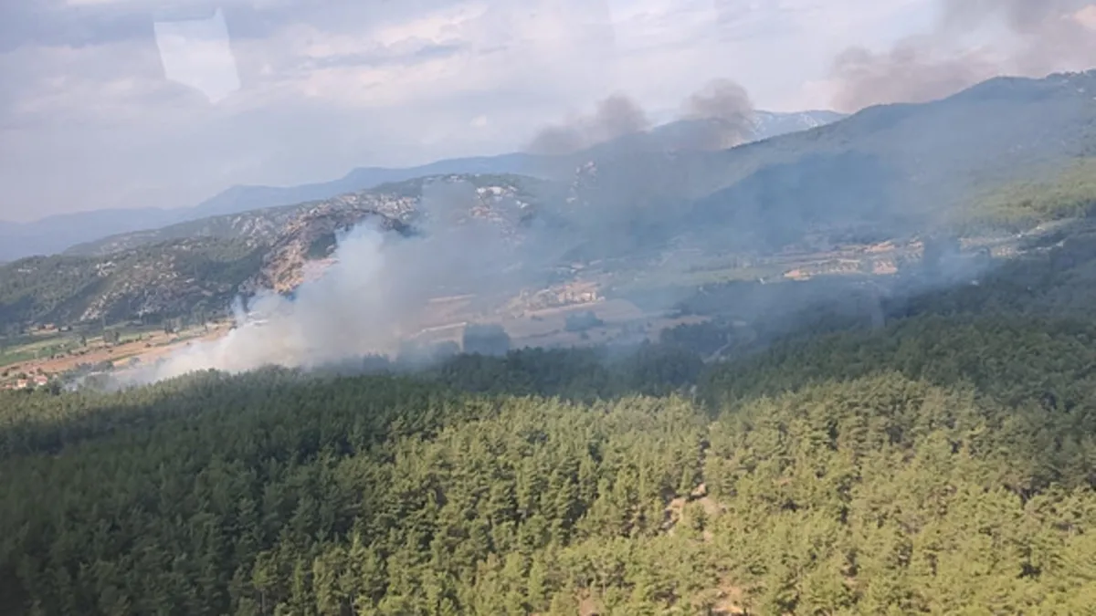 Muğla Menteşe'de orman yangını