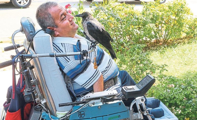 Tedavi ettiği karga Şakir en yakın arkadaşı oldu