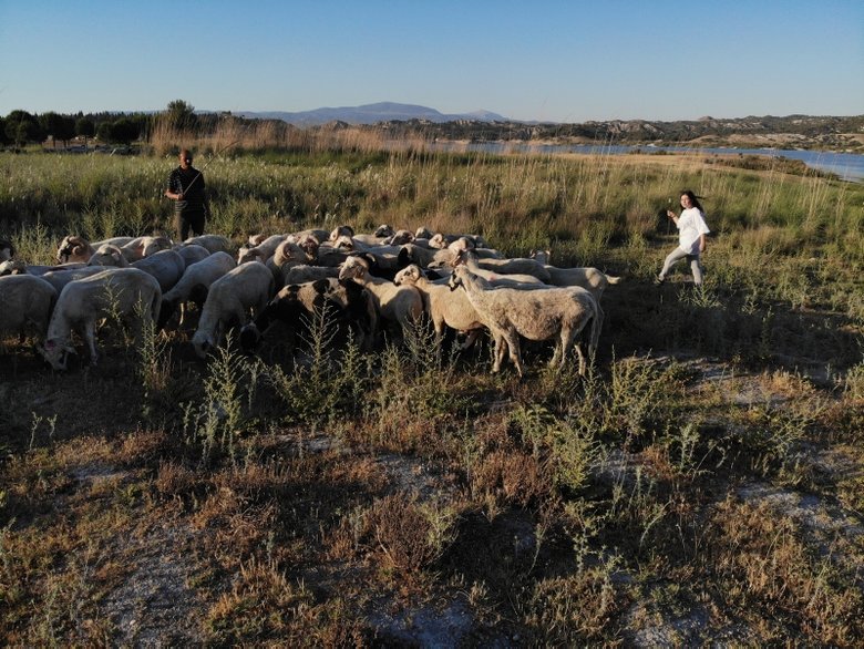 Bu çobanlar farklı! Baba iki, kızları üç dil biliyor