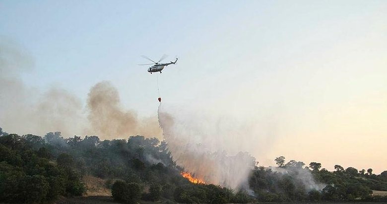 Manisa’daki orman yangınında ’sabotaj’ şüphesi