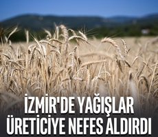 İzmir’de yağışlar üreticiye nefes aldırdı