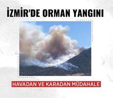 Son dakika: İzmir’de orman yangını! Havadan ve karadan müdahale