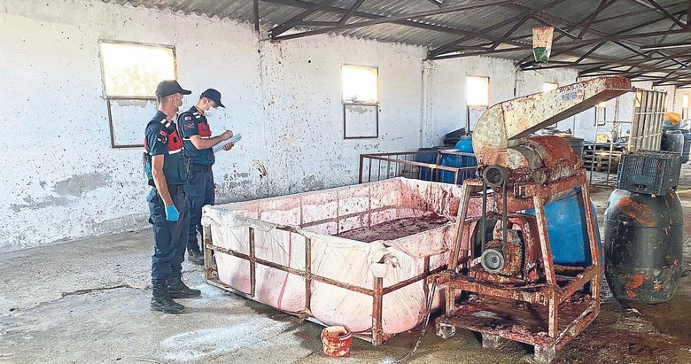 Hayvan damına salça baskını